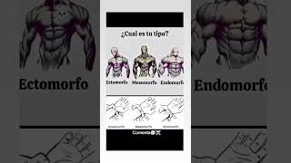 biotipo ectomorfo mesomorfo endomorfo gymmotivation gym calisthenics calistenia sigma [upl. by Ches]