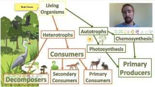 Biology 012 Ecosystems  Biotic and Abiotic Factors [upl. by Ahsiri126]