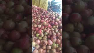 S R fruits company kullo saharanpur F M Malik songs [upl. by Atsyrhc426]