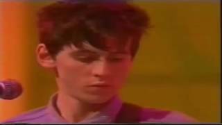 The House Of Love  Christine live 1988 UK TV appearance [upl. by Mcquade]