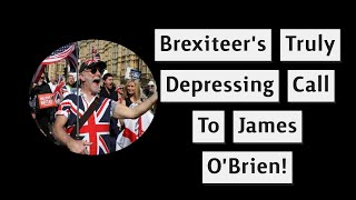 Brexiteer Voted For Farage To Get Brexit Done [upl. by Alston154]