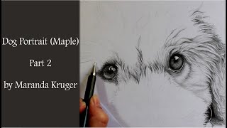 Drawing Timelapse  Dog Portrait of Maple Part 2 [upl. by Comstock]