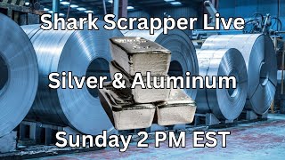 Diving Into Silver Aluminum and TELCOM Stocks [upl. by Wayland908]