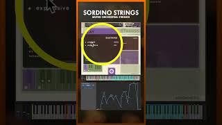 SORDINO STRINGS  Blending Articulations [upl. by Aroel]