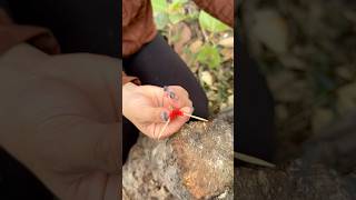 Survival Skills Single mom show SMART idea and USEFUL in forest camping bushcraft outdoor [upl. by Guod]