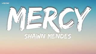 Shawn Mendes  Mercy With Lyrics [upl. by Aoh]