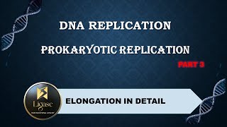 PROKARYOTIC REPLICATION PART 3 csirnet lifescience science [upl. by Daggett]