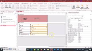 Access Formulare bearbeiten [upl. by Wilkens343]
