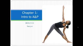 Chapter 1 Lecture Video [upl. by Cianca]