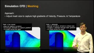 Simulation CFD  Meshing Basics [upl. by Semmes593]