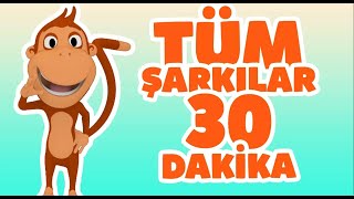 Kukuli Tüm Çocuk Şarkıları 30 Dakika  En Sevilen Kukuli Şarkıları [upl. by Ykroc]