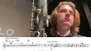 Symphonies of Gaia Contra Clarinet Cam [upl. by Gaskill]