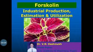 Forskolin Industrial Production Estimation and Utilization [upl. by Neirbo150]