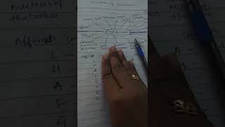 Easy way to remember the connections of hypothalamus in just 4min [upl. by Kifar]