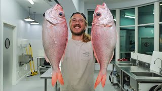 Filleting Rare Deepwater Snapper [upl. by Athalie]