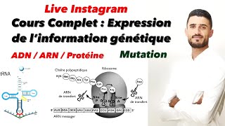 Expression de linformation génétique كيفاش تجاوب على تمارين  Relation gène protéine caractère [upl. by Oringa]