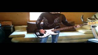 Systemfehler  Wenn Inge Tanzt Bass Cover [upl. by Nahgrom]