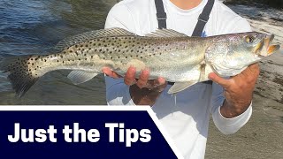 Spring Speckled Trout Fishing Tips Where Bait amp Tackle Just the Tips [upl. by Purse]