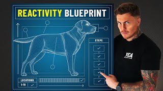 If I had a reactive dog in 2024 this is what I’d do FULL BLUEPRINT [upl. by Nnaillij889]