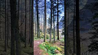 Glencoe’s Hidden GemAn Torr in Scotland 🏴󠁧󠁢󠁳󠁣󠁴󠁿vanlife travel scotland [upl. by Colb]