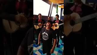 El chaparro chuacheneger cantando con mariachi [upl. by Marc]