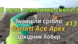 Копаємо на другому участку Знайшли срібло Garrett Ace Apex Фільм13 [upl. by Festa97]