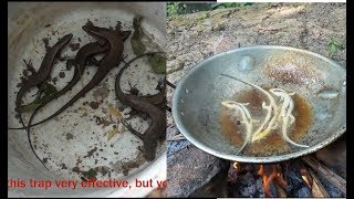 Catch lizard by trap and Fry crispy with Oil [upl. by Anahsit]