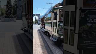 Christchurch Christmas Tram [upl. by Yessac665]