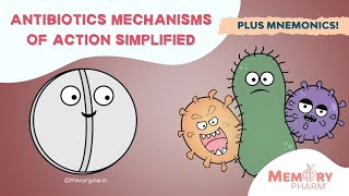 Antibiotic Mechanisms of Action Simplified PLUS MNEMONICS [upl. by Setiram]