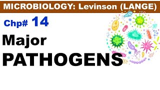 Chp14 LevinsonLANGE Micro  Overview of Major Pathogens and Anaerobic Bacteria  Dr Asif Lectures [upl. by Xavier]