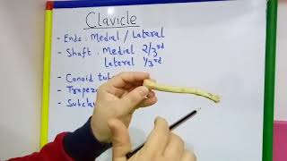 CLAVICLE GENERAL FEATURES AND ATTACHMENTS BY DR MITESH DAVE [upl. by Iliam]