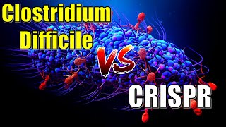 Utilizing CRISPR to combat Clostridum Difficile  How the disease spreads and what are the effects [upl. by Nosa]