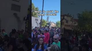 Disneyland Crowds [upl. by Jameson]