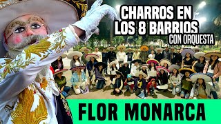 CHARROS CON ORQUESTA EN LOS 8 BARRIOS [upl. by Aketal464]