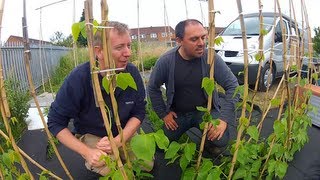 Ricks Allotment Special Edition Episode with ThehortchannelTV ep73 [upl. by Ecirehs]