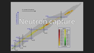 Neutron capture [upl. by Christean]