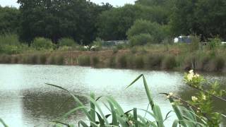 MOUSEHOLE LAKES NETTLESTEAD PADDOCK WOOD KENT ANGLERS MAIL TACTICAL BRIEFINGS [upl. by Iht]