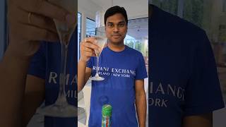 Vodka Martini cocktail James bond style  Telugu  Vlog recipe cocktail trending [upl. by Kayley]