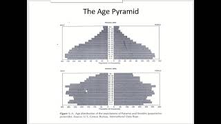 Measures of mortality and Morbidity Indicators part 2 [upl. by Pietra]