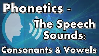 Phonetics  The Speech Sounds Consonants amp Vowels [upl. by Enitsuga]