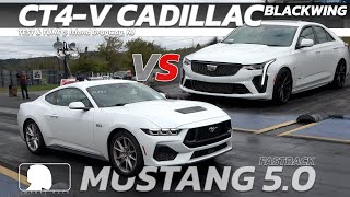 2024 Cadillac CT4 V Blackwing vs 2024 Ford Mustang Fastback 5 0 [upl. by Toll]