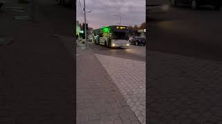 BACAU Irisbus Crossway BC75STP 22 31102024 Candycrush02 [upl. by Urdna]