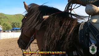 ARENAS ENTERTAINMENT Vs 1er VAQUILLA EN RANCHO EL ABROJO EN SANTA PAULA 22524 [upl. by Aes]