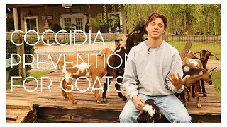 Coccidia Prevention For Goats [upl. by Karilla811]