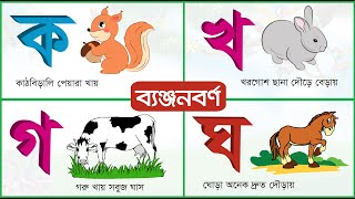 বাংলা ব্যঞ্জনবর্ণ ক খ গ ঘ  Bangla Banjonborno  ছবি দেখে ব্যঞ্জনবর্ণ শিখি ও বাক্যগঠন করি [upl. by Eelirrem169]