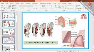 ESPIROMETRIA FISIOLOGIA PRACTICA [upl. by Tarryn]