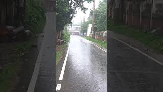 Relaxing Walk in the Rain Umbrella and Nature Sounds for Sleep and Relaxation music for meditation [upl. by Jeffie28]