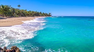 Dominican Beach with Waves Rolling  Natural Background With Ocean Sounds [upl. by Eilah220]