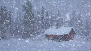 Laute Schneesturmgeräusche Zum Schlafen Entspannen Im Holzhaus  Heulende Windgeräusche [upl. by Packer]