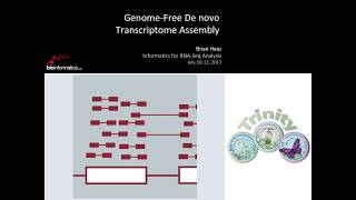 GenomeFree De Novo Transcriptome Assembly [upl. by Aryek]